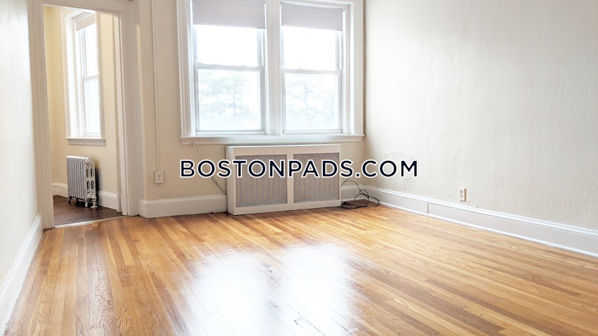 BOSTON - BRIGHTON - BOSTON COLLEGE - 1 Bed, 1 Bath - Image 6