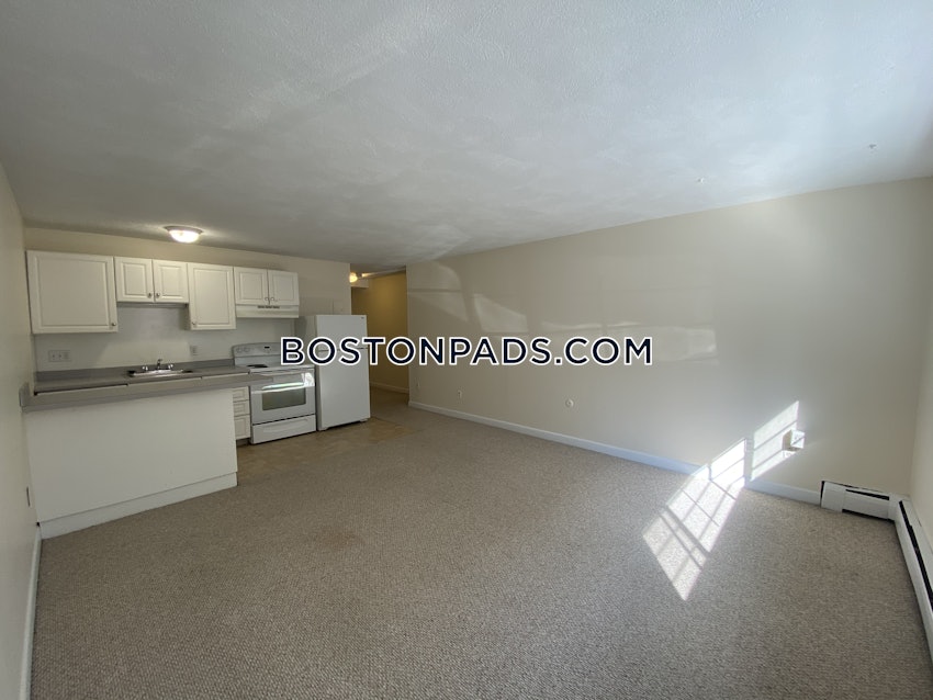 BOSTON - ALLSTON - 1 Bed, 1 Bath - Image 1