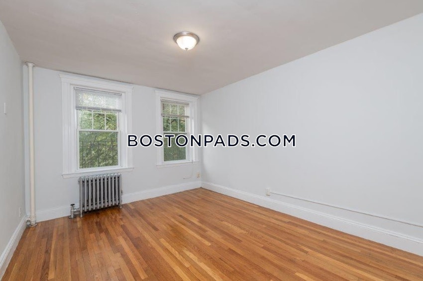 BOSTON - BRIGHTON - CLEVELAND CIRCLE - 1 Bed, 1 Bath - Image 3