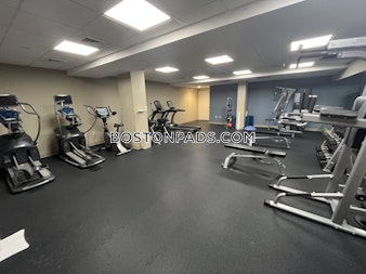 Massachusetts Ave Cambridge