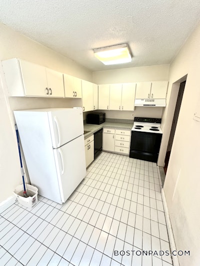 Brighton 1 Bed 1 Bath Boston - $2,100