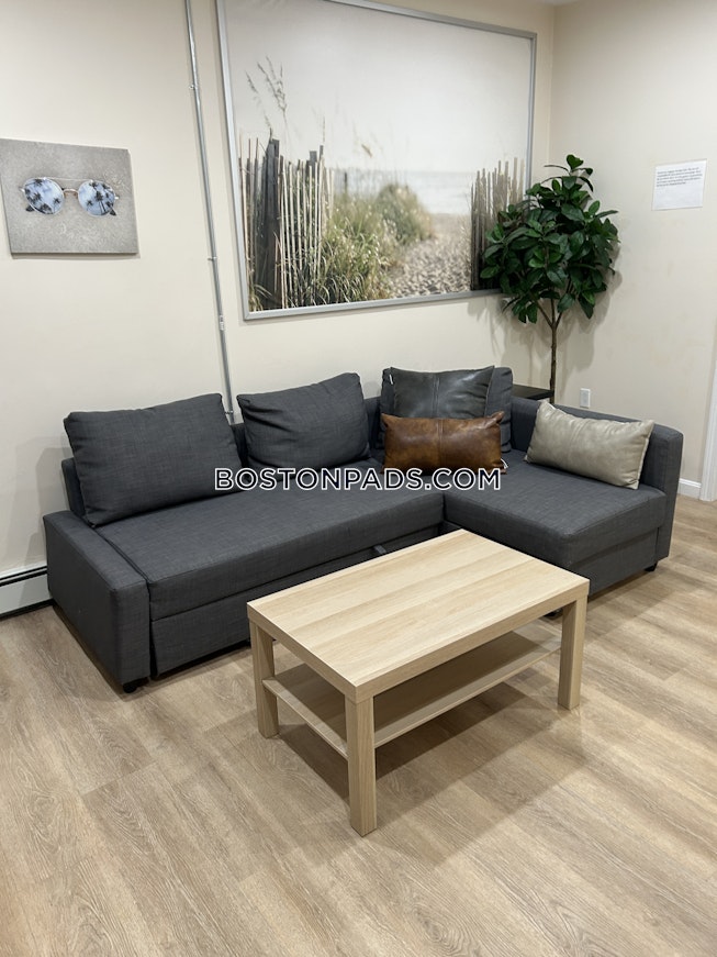 Boston - $3,200+ /mo