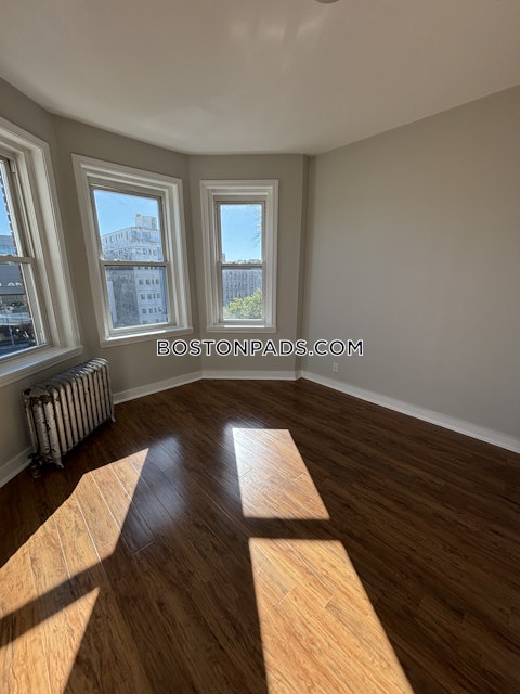 Commonwealth Ave. Boston photo 5