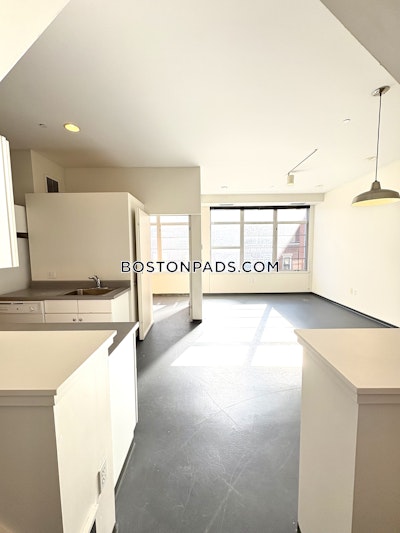 South End 2 Bed 1 Bath BOSTON Boston - $4,000 No Fee