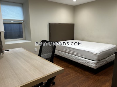 Brighton 5 Beds 5 Baths Boston - $14,200 No Fee