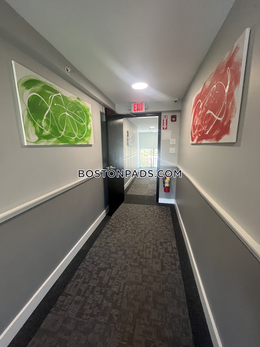 Cambridge - $2,700+ /month