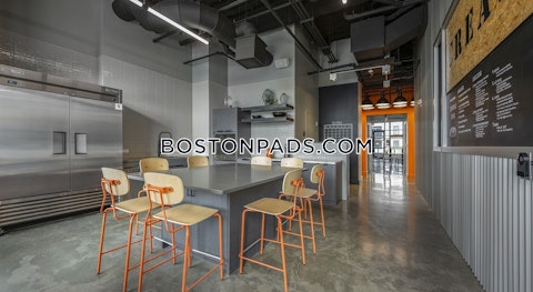 Addison St. Boston photo 34