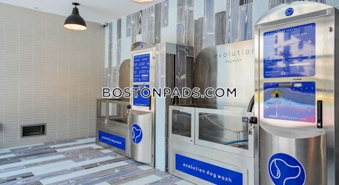 Addison St. Boston photo 21