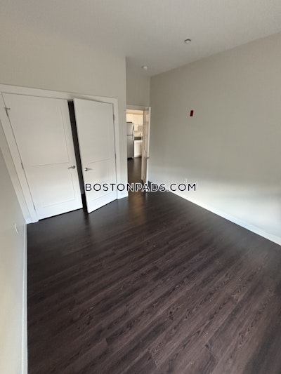 Allston 1 Bed 1 Bath Boston - $4,062 No Fee