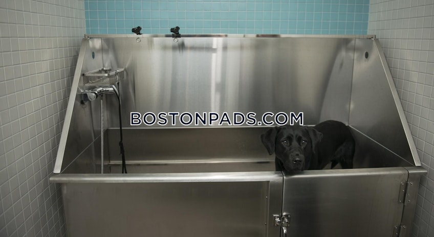 Boston - $3,891+ /month