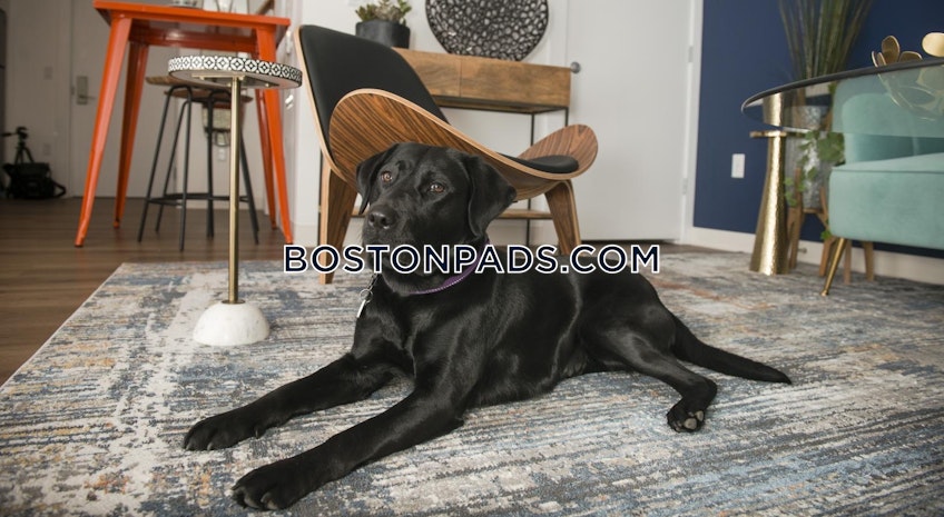 Boston - $3,650+ /month