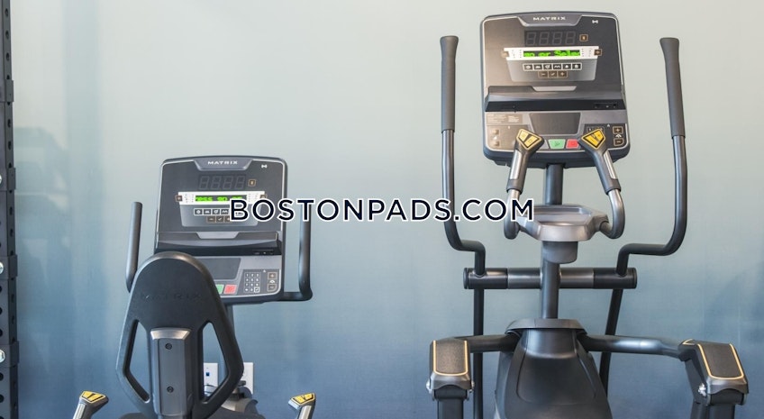 Boston - $3,650+ /month