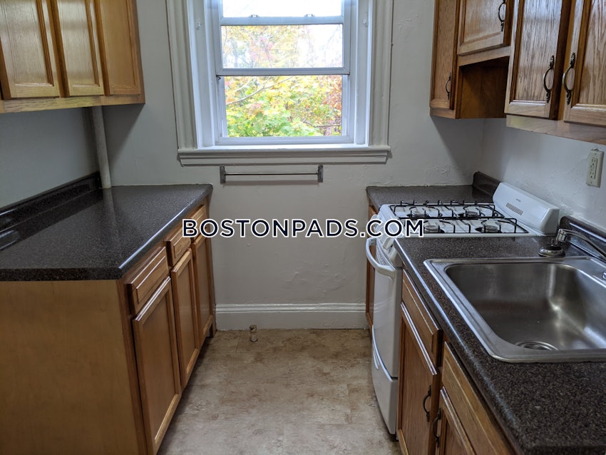 BOSTON - BRIGHTON - CLEVELAND CIRCLE - 1 Bed, 1 Bath - Image 7