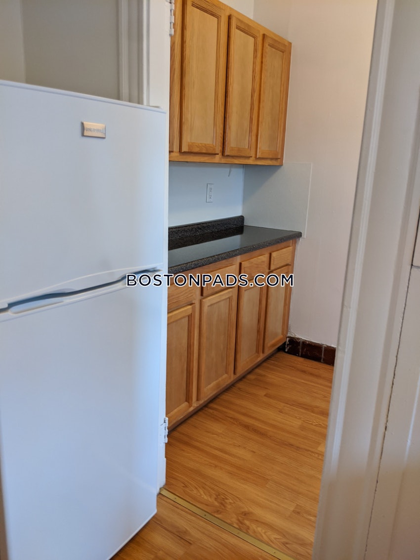 BOSTON - BRIGHTON - CLEVELAND CIRCLE - 1 Bed, 1 Bath - Image 14