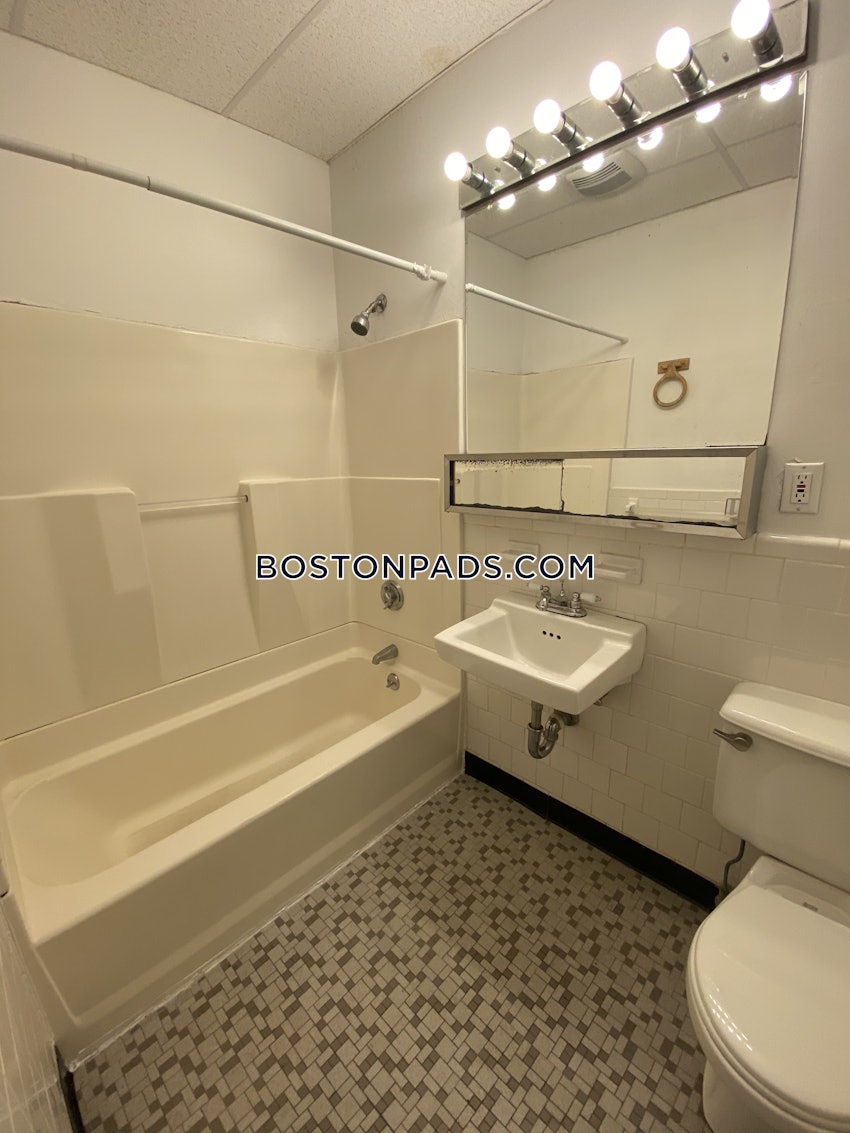 BOSTON - JAMAICA PLAIN - JAMAICA POND/PONDSIDE - 1 Bed, 1 Bath - Image 4
