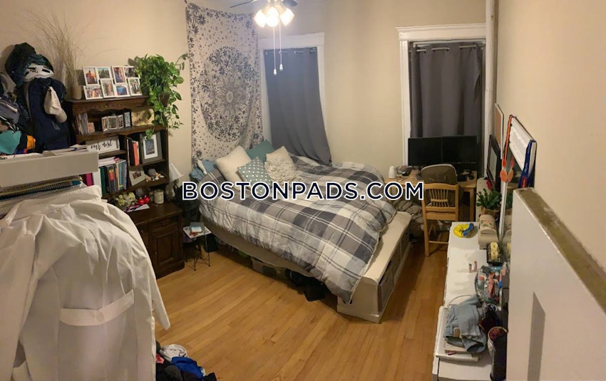 BOSTON - ALLSTON - 1 Bed, 1 Bath - Image 4