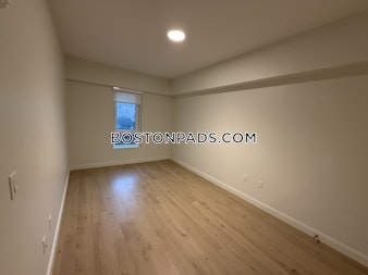 Brighton Ave. Boston