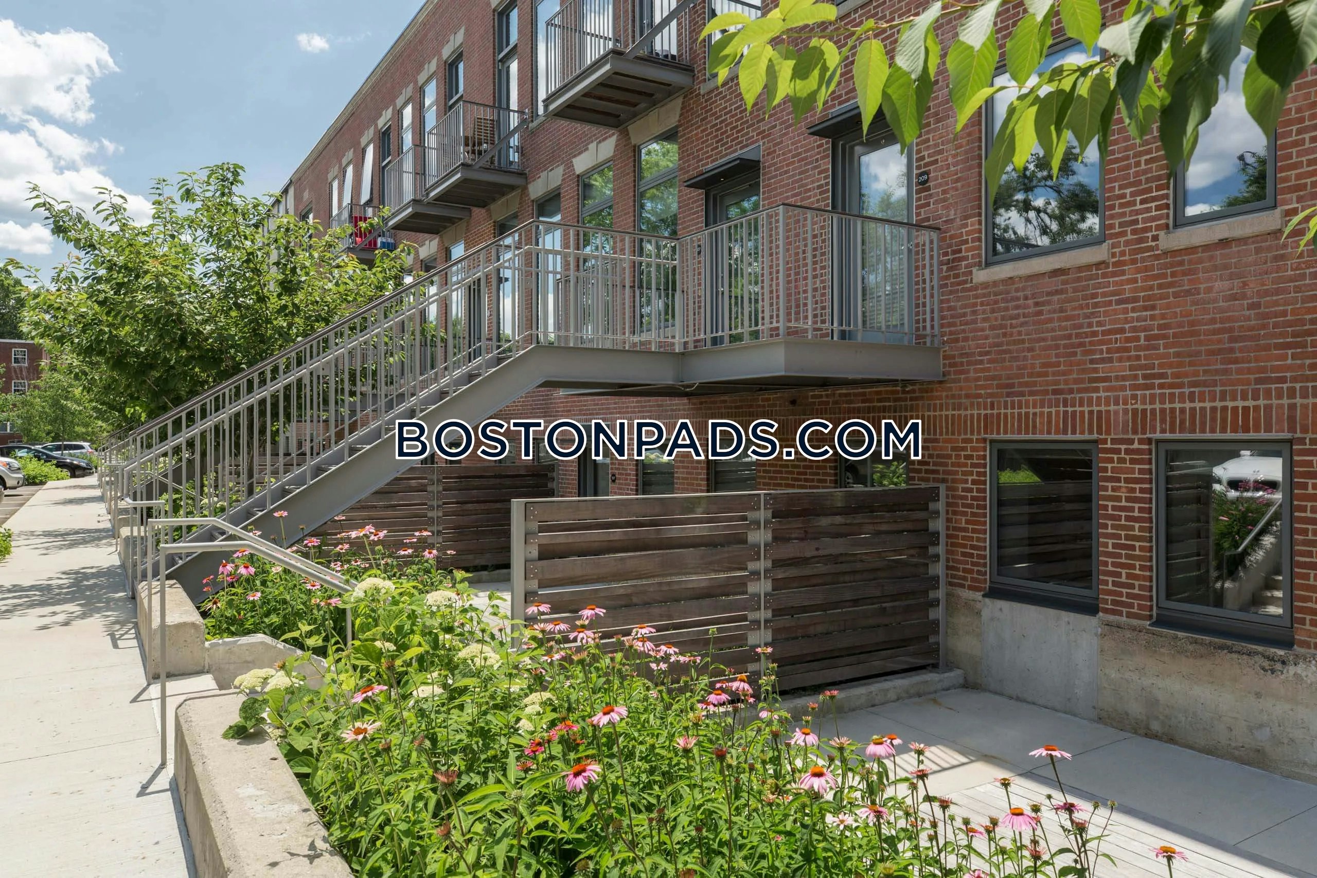 Rindge Ave. Cambridge