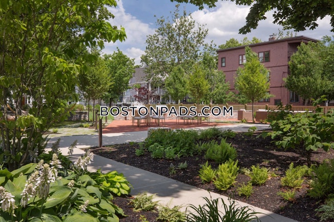 Cambridge - $3,125+ /mo