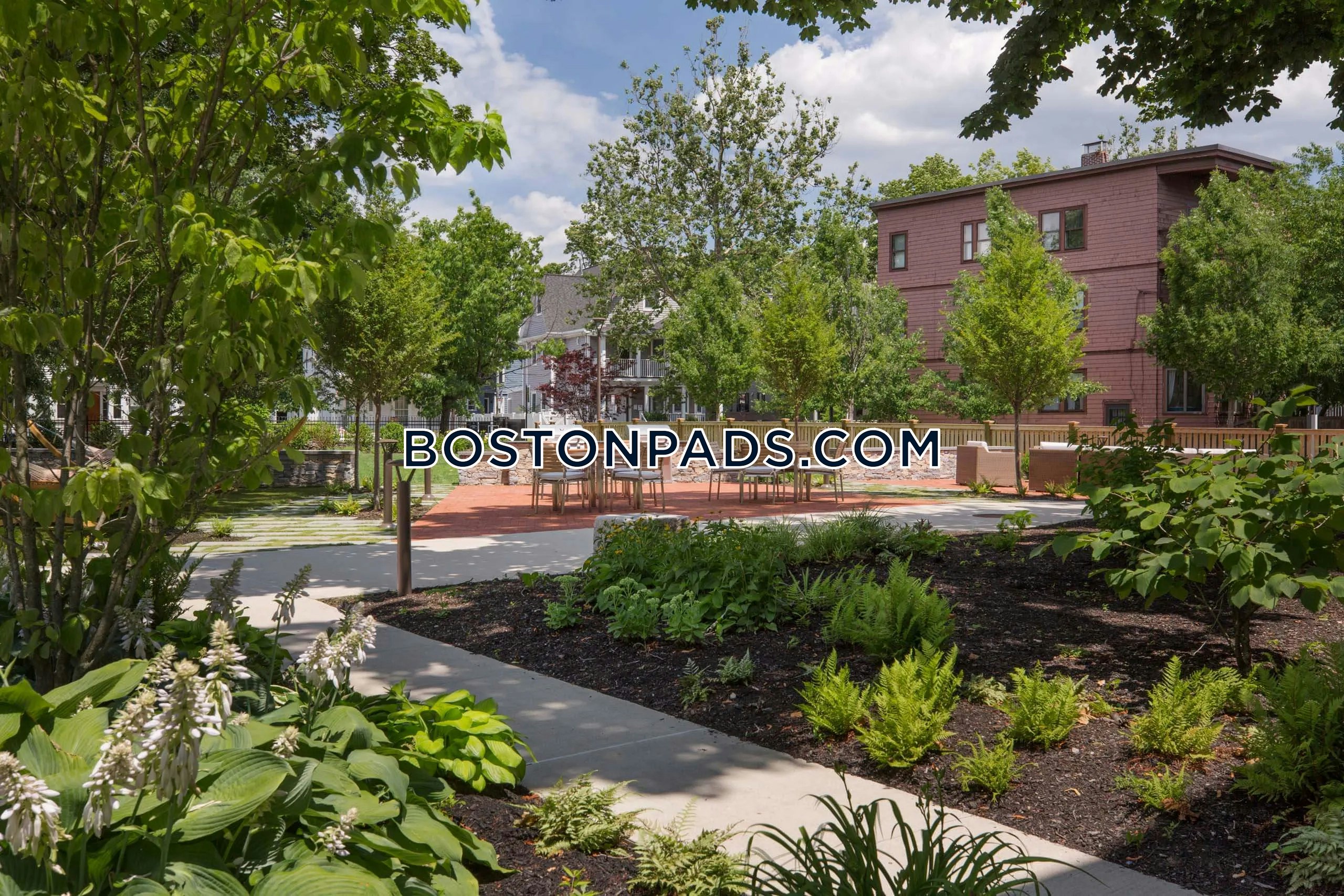 Rindge Ave. Cambridge