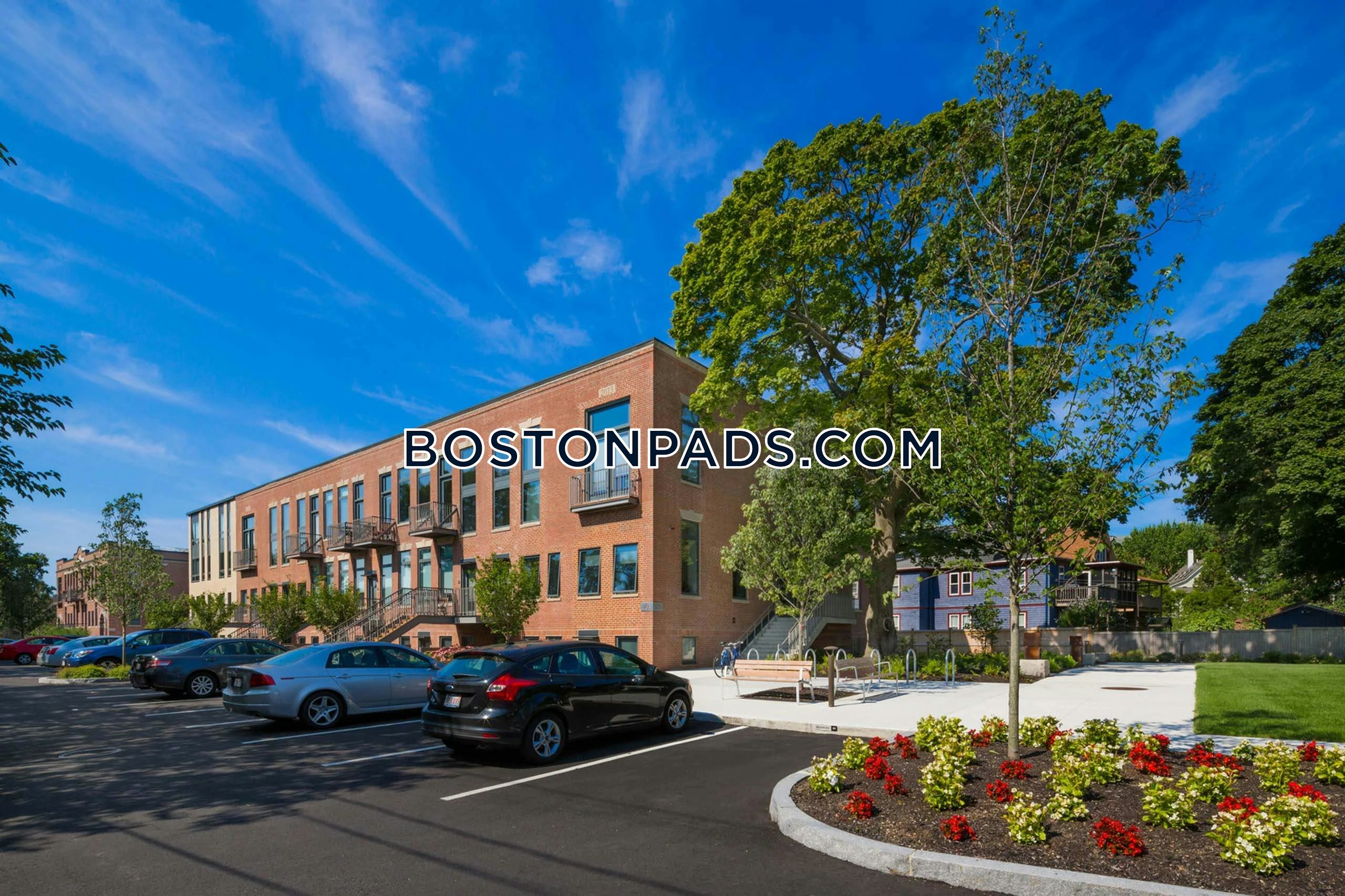 Rindge Ave. Cambridge