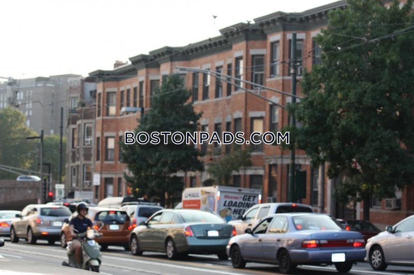 BOSTON - MISSION HILL - 4 Beds, 2 Baths - Image 25
