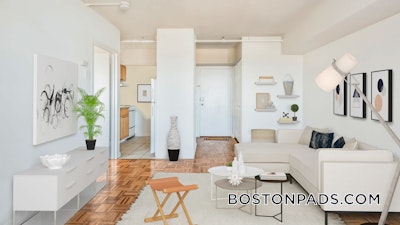 Cambridge 2 Bed 1 Bath CAMBRIDGE  Central Square/cambridgeport - $3,545