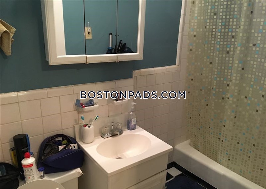 BOSTON - BRIGHTON - CLEVELAND CIRCLE - 1 Bed, 1 Bath - Image 6