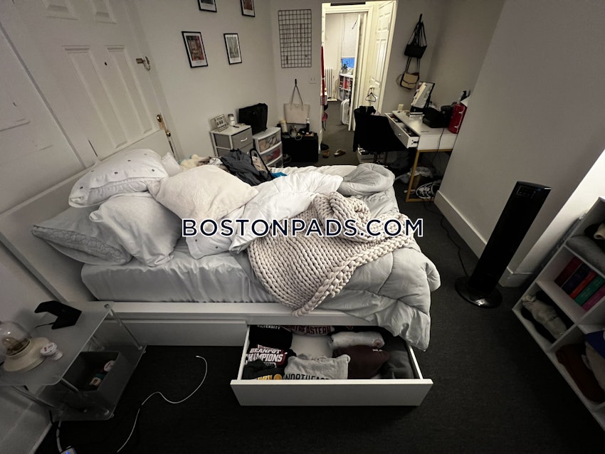 BOSTON - NORTHEASTERN/SYMPHONY - 1 Bed, 1 Bath - Image 4