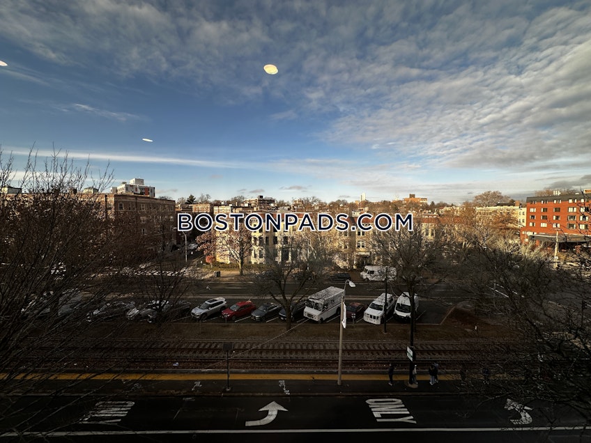 Brookline - $4,800+ /month