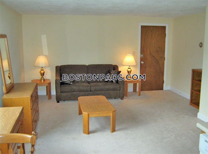 ARLINGTON - 1 Bed, 1 Bath - Image 1