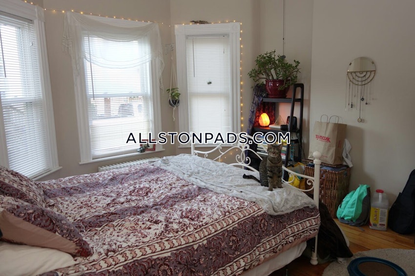 BOSTON - ALLSTON - 2 Beds, 1 Bath - Image 18