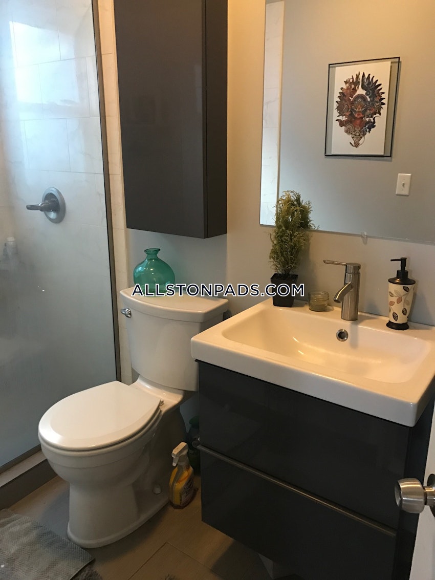 BOSTON - ALLSTON - 2 Beds, 1 Bath - Image 14