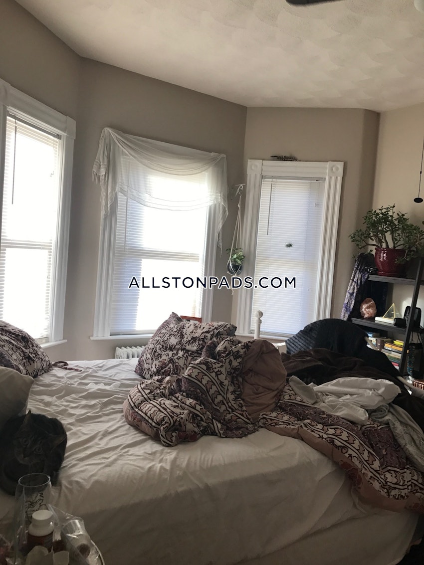 BOSTON - ALLSTON - 2 Beds, 1 Bath - Image 10