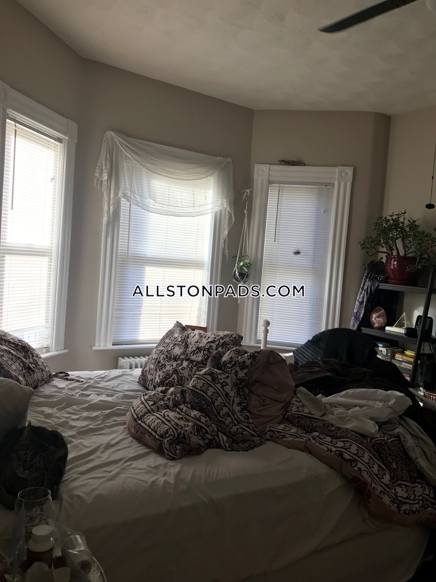 BOSTON - ALLSTON - 2 Beds, 1 Bath - Image 11