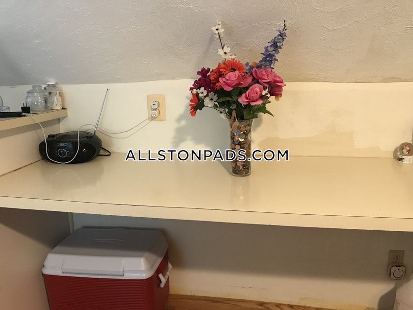 BOSTON - ALLSTON - 1 Bed, 1 Bath - Image 9