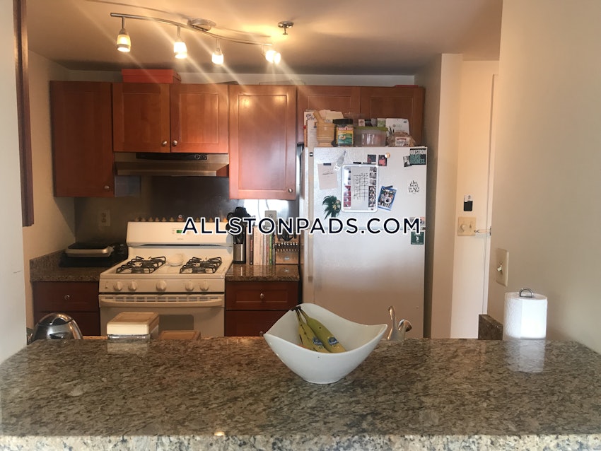 BOSTON - ALLSTON - 1 Bed, 1 Bath - Image 5