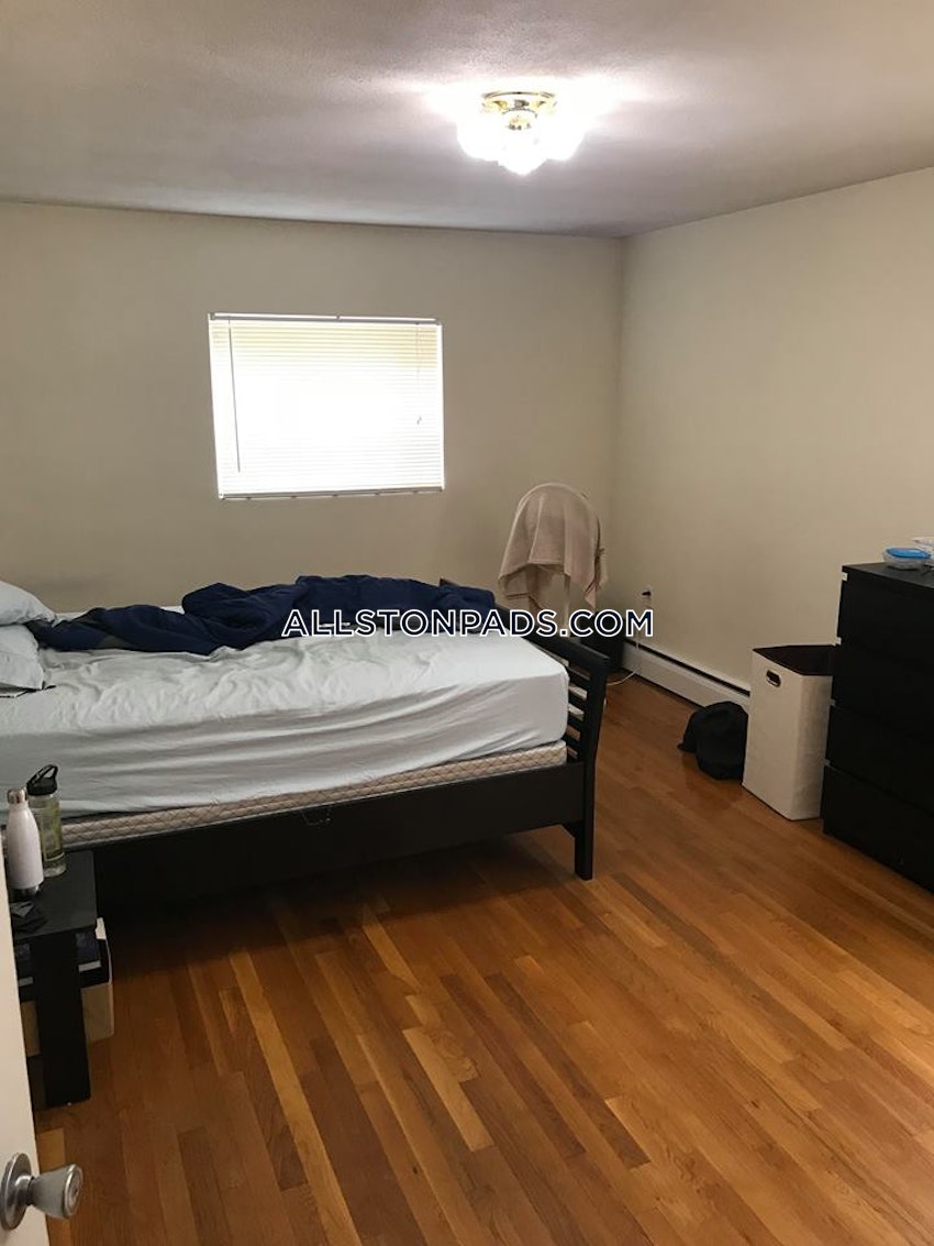 BOSTON - ALLSTON - 1 Bed, 1 Bath - Image 2