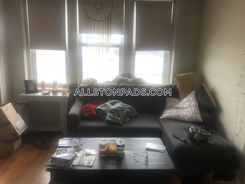 BOSTON - ALLSTON - 1 Bed, 1 Bath - Image 2