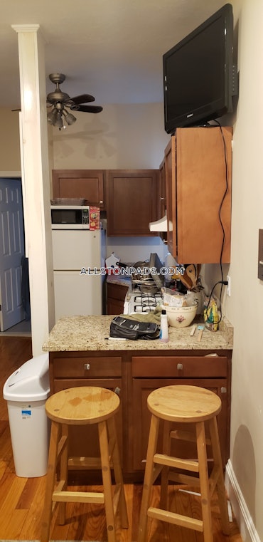 Allston, Boston, MA - 2 Beds, 1 Bath - $3,000 - ID#4562180