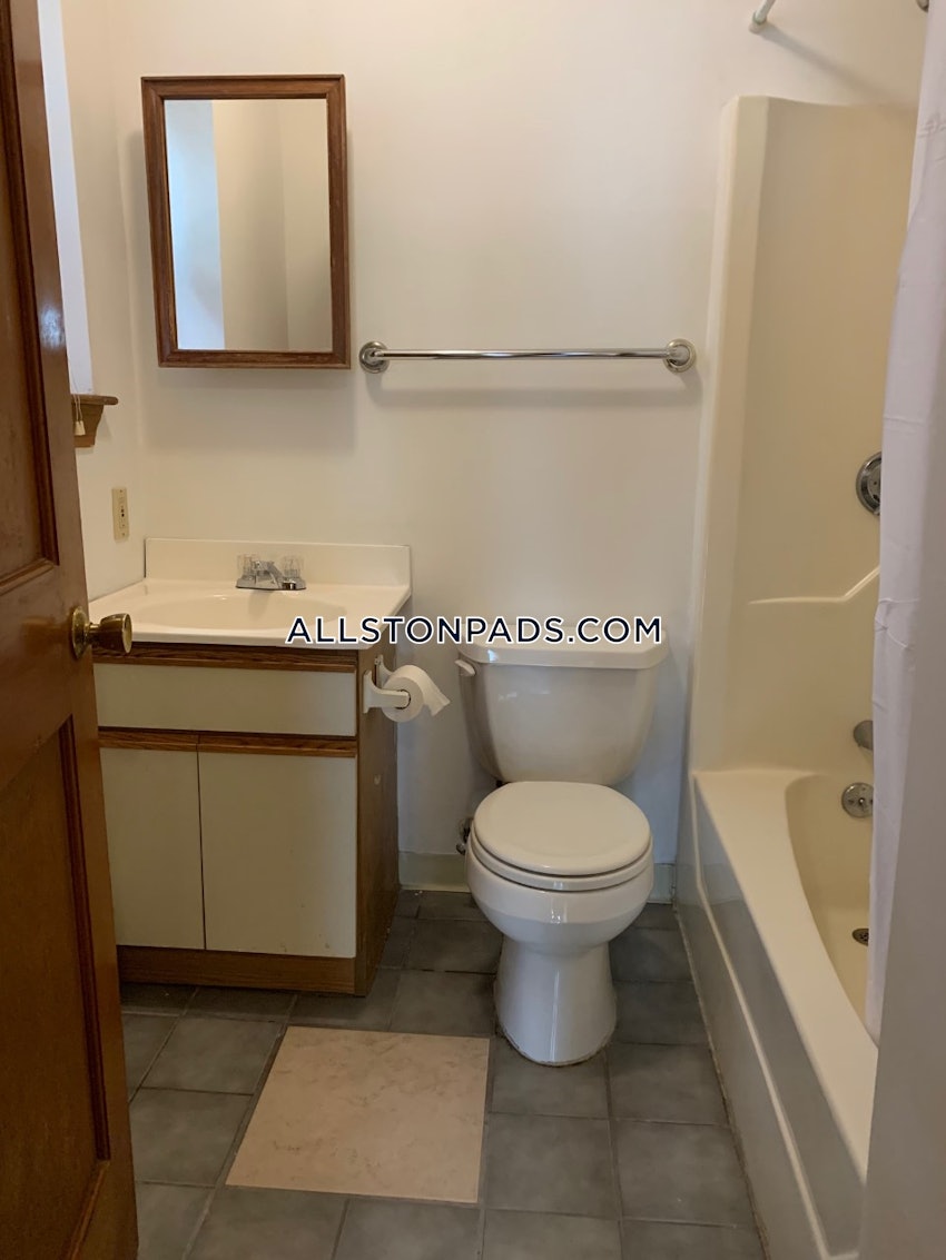 BOSTON - ALLSTON - 1 Bed, 1 Bath - Image 13