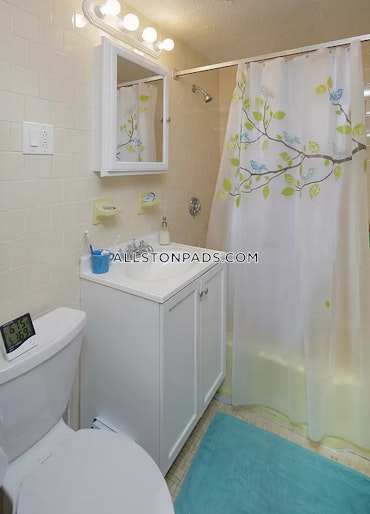 Boston - 1 Beds, 1 Baths