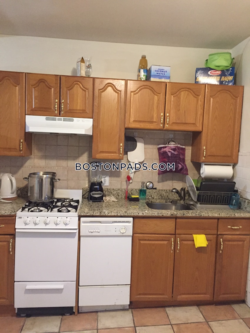 BOSTON - ALLSTON/BRIGHTON BORDER - 2 Beds, 1 Bath - Image 9