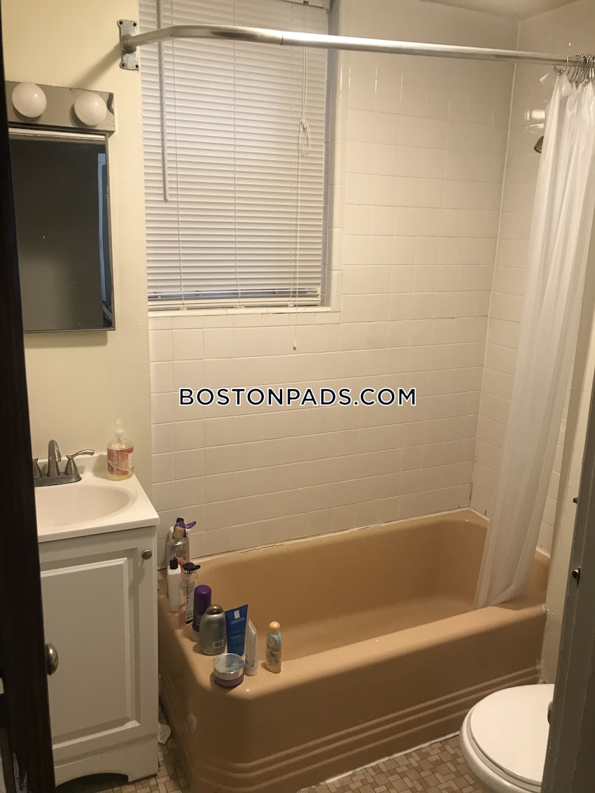 BOSTON - ALLSTON/BRIGHTON BORDER - Studio , 1 Bath - Image 9