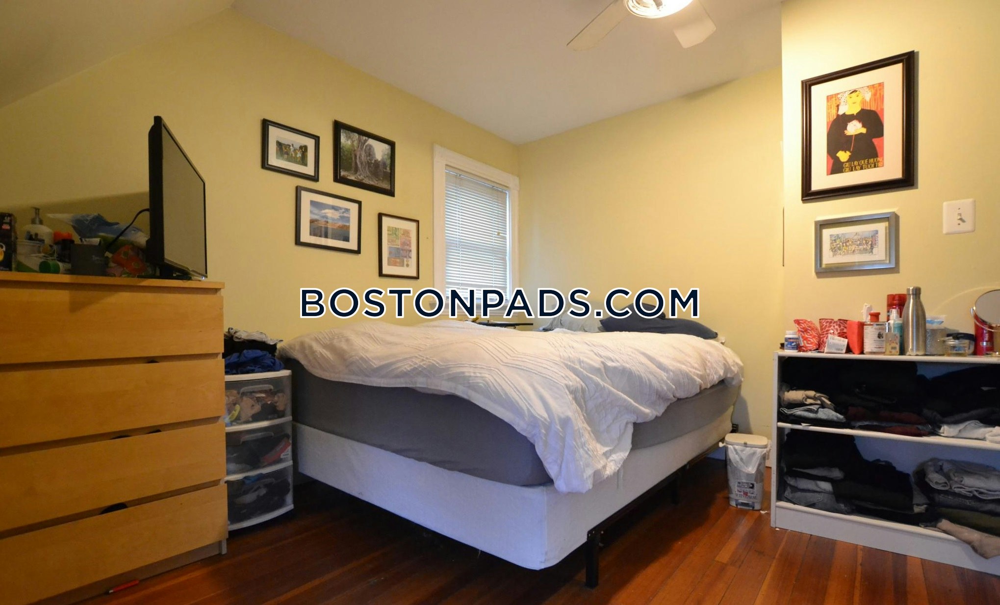 Allston/brighton Border Apartment for rent 5 Bedrooms 2 Baths Boston