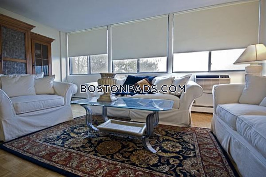 BOSTON - ALLSTON/BRIGHTON BORDER - Studio , 1 Bath - Image 1