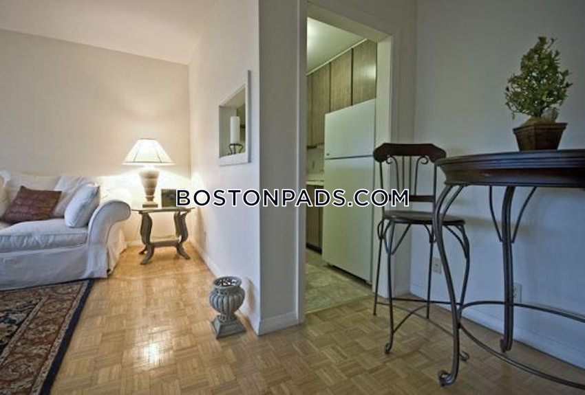 BOSTON - ALLSTON/BRIGHTON BORDER - Studio , 1 Bath - Image 3