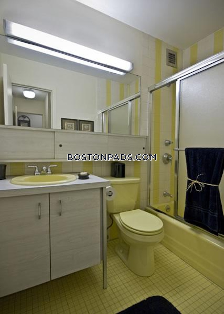 BOSTON - ALLSTON/BRIGHTON BORDER - Studio , 1 Bath - Image 5