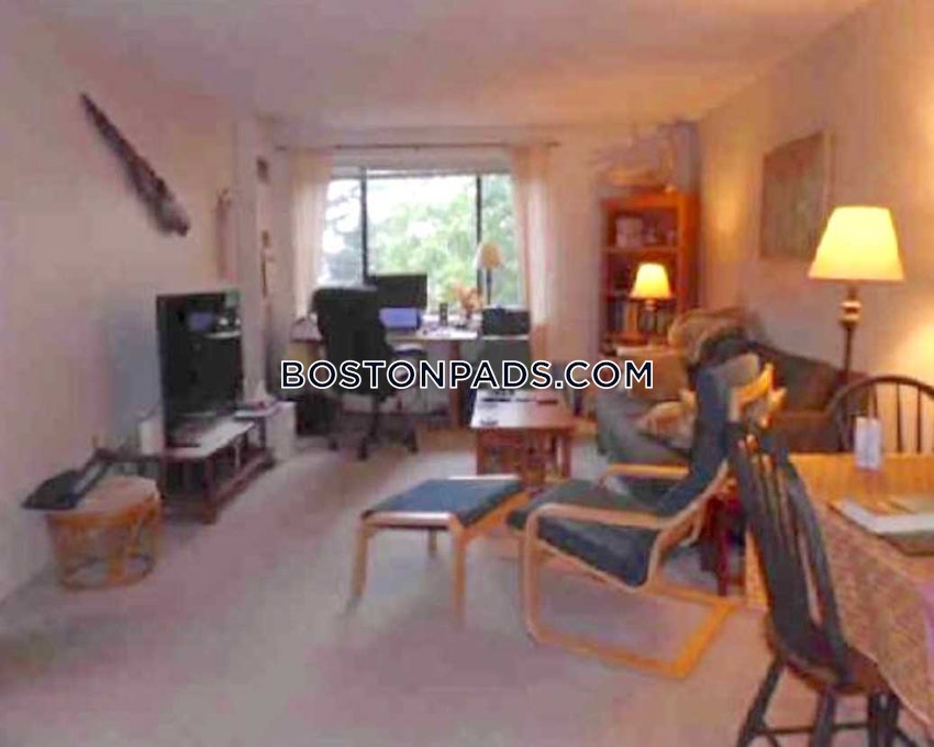 BOSTON - BRIGHTON - CLEVELAND CIRCLE - 1 Bed, 1 Bath - Image 1