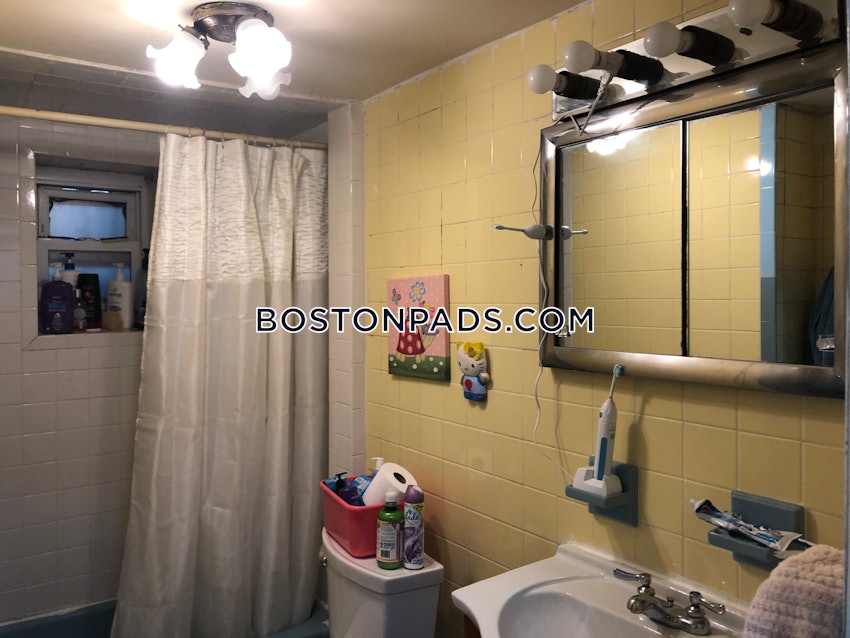 BOSTON - ALLSTON/BRIGHTON BORDER - 1 Bed, 1 Bath - Image 10